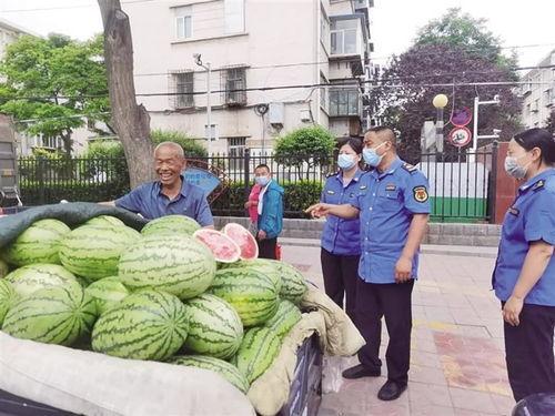 凤桐苑吃瓜,一场吃瓜盛宴背后的故事
