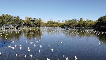 介绍昆明的网红景点英语,Exploring the Trending Hotspots: A Glimpse into Kunming's Must-Visit Attractions