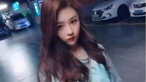 一小网红,揭秘网络红人的成长之路