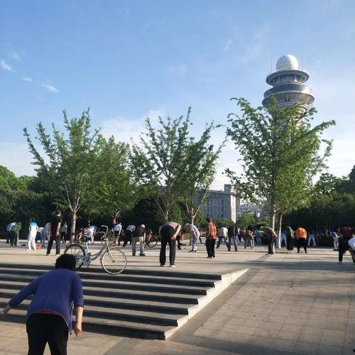 天津公园爆料视频最新,揭秘公园里的惊人秘密与奇闻轶事