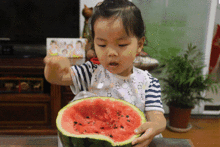 吃瓜群众免费吃瓜微信,畅享海量瓜果盛宴