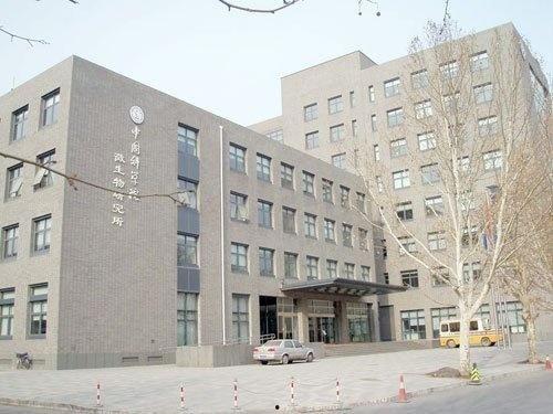 早期网红研究所在哪,引领潮流的数字文化摇篮