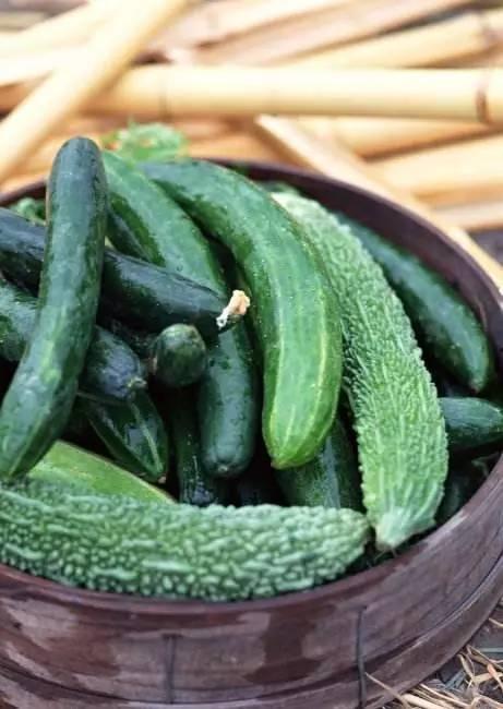 青崽吃瓜后续,揭秘娱乐圈风云再起