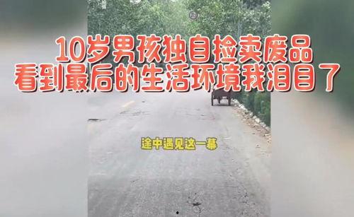 今日头条捡废品文章,揭秘今日头条上的废品回收生活