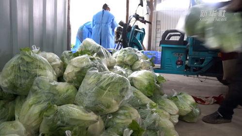 头条上卖菜怎么卖的快,头条上卖菜的高效技巧揭秘