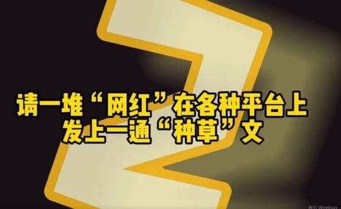 网红店营销成本,揭秘背后的秘密与策略