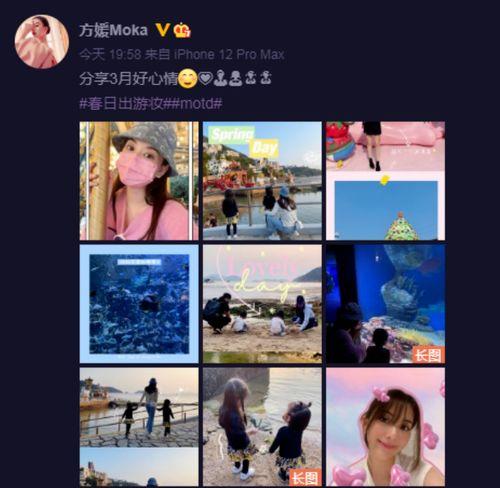 家暴男女主爆料视频播放,男女主揭露残酷真相，引发社会关注