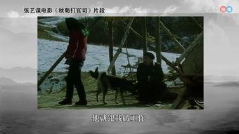 张艺谋电影最新爆料片段,光影交织下的情感史诗