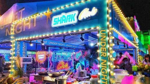 网红小吃地摊夜市,网红小吃地摊夜市的魅力之旅