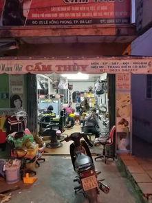 我来自胡志明在线观看,探索越南魅力光影