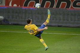 伊布爆料世界杯视频,世界杯背后的精彩瞬间